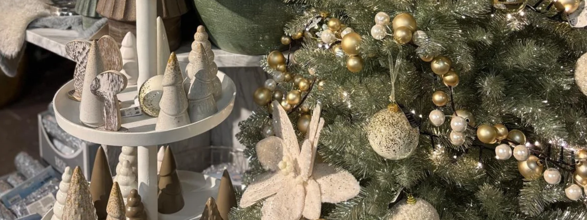 Kerstshow 2026 | GroenRijk Rijswijk Kerstshow 2026 | GroenRijk Rijswijk