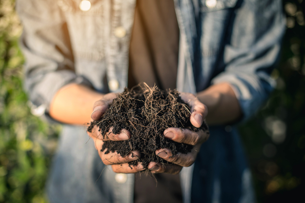 Compost kopen of zelf maken bij GroenRijk Rijswijk