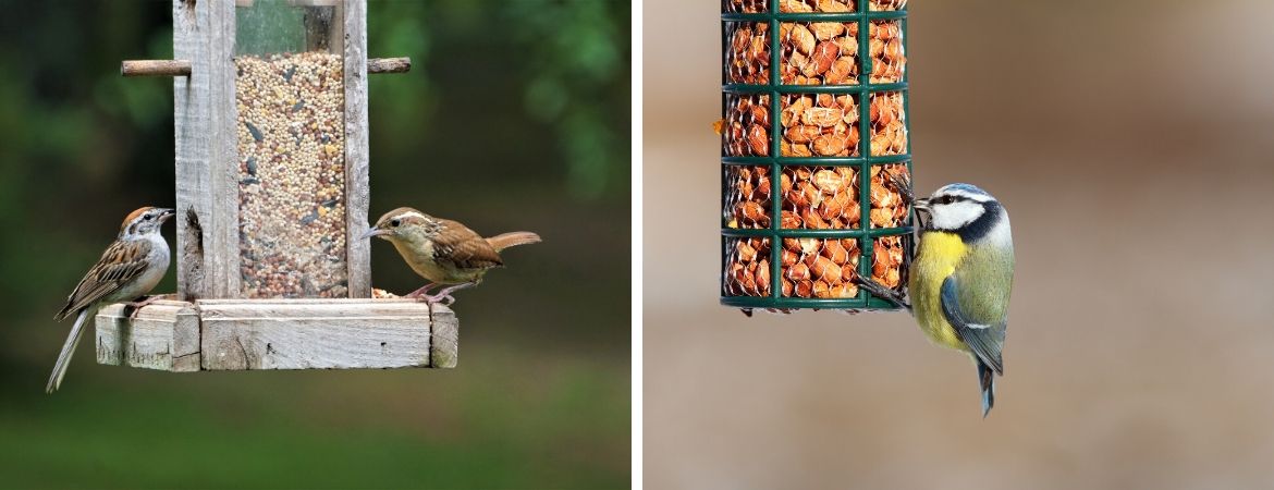 GroenRijk 't Haantje | Rijswijk | Vogels in de tuin