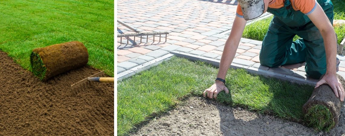 Graszoden kopen | Graszoden bestellen | GroenRijk 't Haantje | Rijswijk | Den Haag