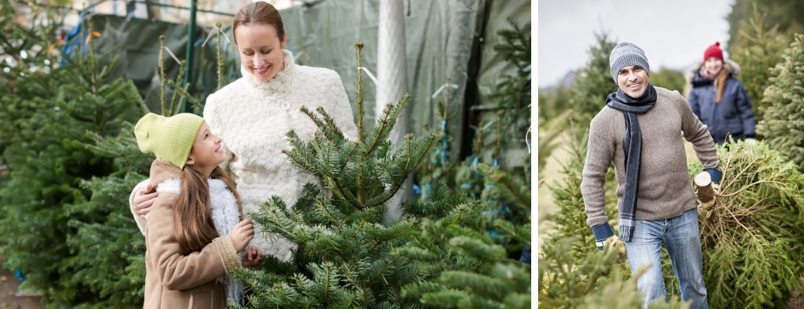 Kerstbomen kopen bij GroenRijk 't Haantje in Rijswijk
