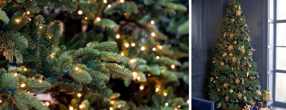 GroenRijk 't Haantje | Rijswijk | Kunstkerstbomen kopen