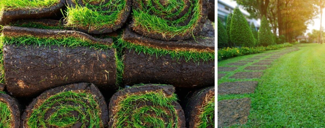 Graszoden kopen | Graszoden bestellen | GroenRijk 't Haantje | Rijswijk | Den Haag