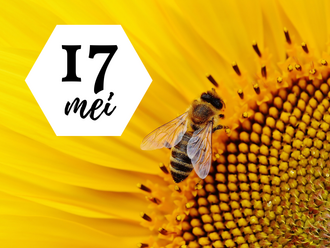 Bijentrainer op bezoek!