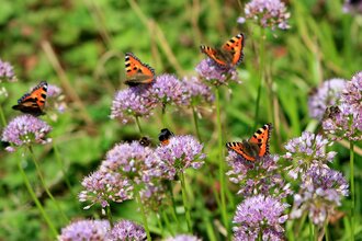 Dag van de Levende Tuin