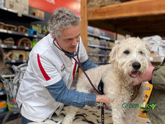 De dierenarts komt langs!