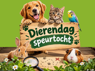 Dierendag speurtocht