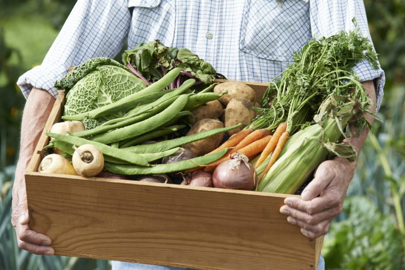 Moestuin Moestuin