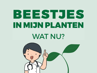 Stel je vragen aan de Tuindokter