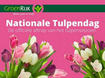 Tulpentijd!