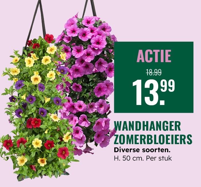 Weekaanbieding: Wandhanger zomerbloeiers