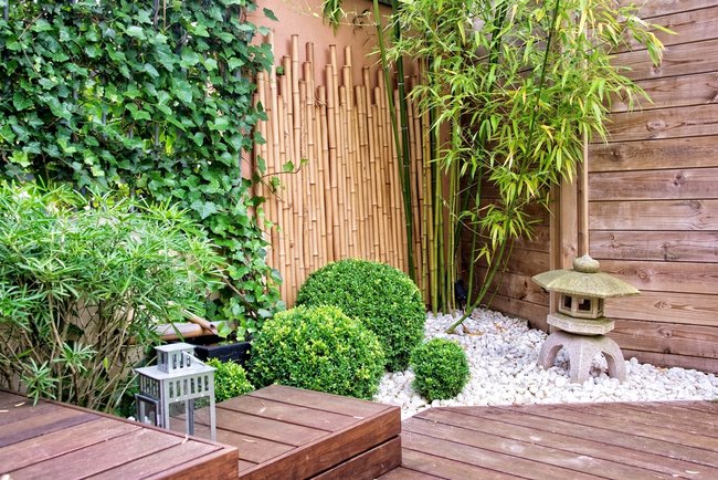 Dank je Springplank Ongepast Bamboe in de tuin?