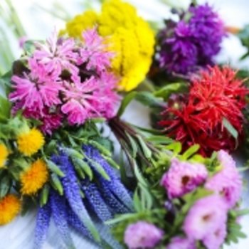 Bloemen
