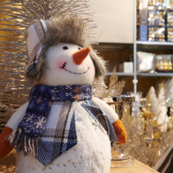 Kerstshow | Rijswijk | GroenRijk 't Haantje
