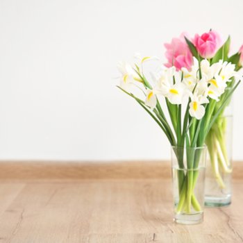 Arrangementen