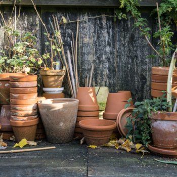 Auroch fragment Meer Bloempotten kopen