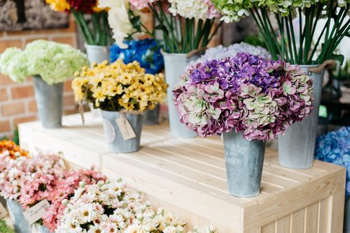 Ongekend Foambloemen en zijdebloemen - Tuincentrum GroenRijk in Rijswijk GT-53