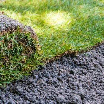 Graszoden bestellen | GroenRijk 't Haantje in Rijswijk