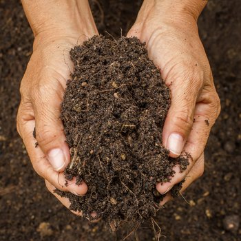 Potgrond voor iedere plant