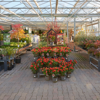 Alles voor uw tuin vindt u in ons BuitenRijk!