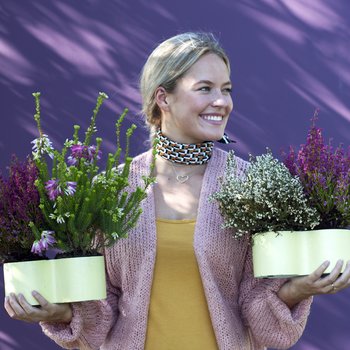 Vaste tuinplanten kopen